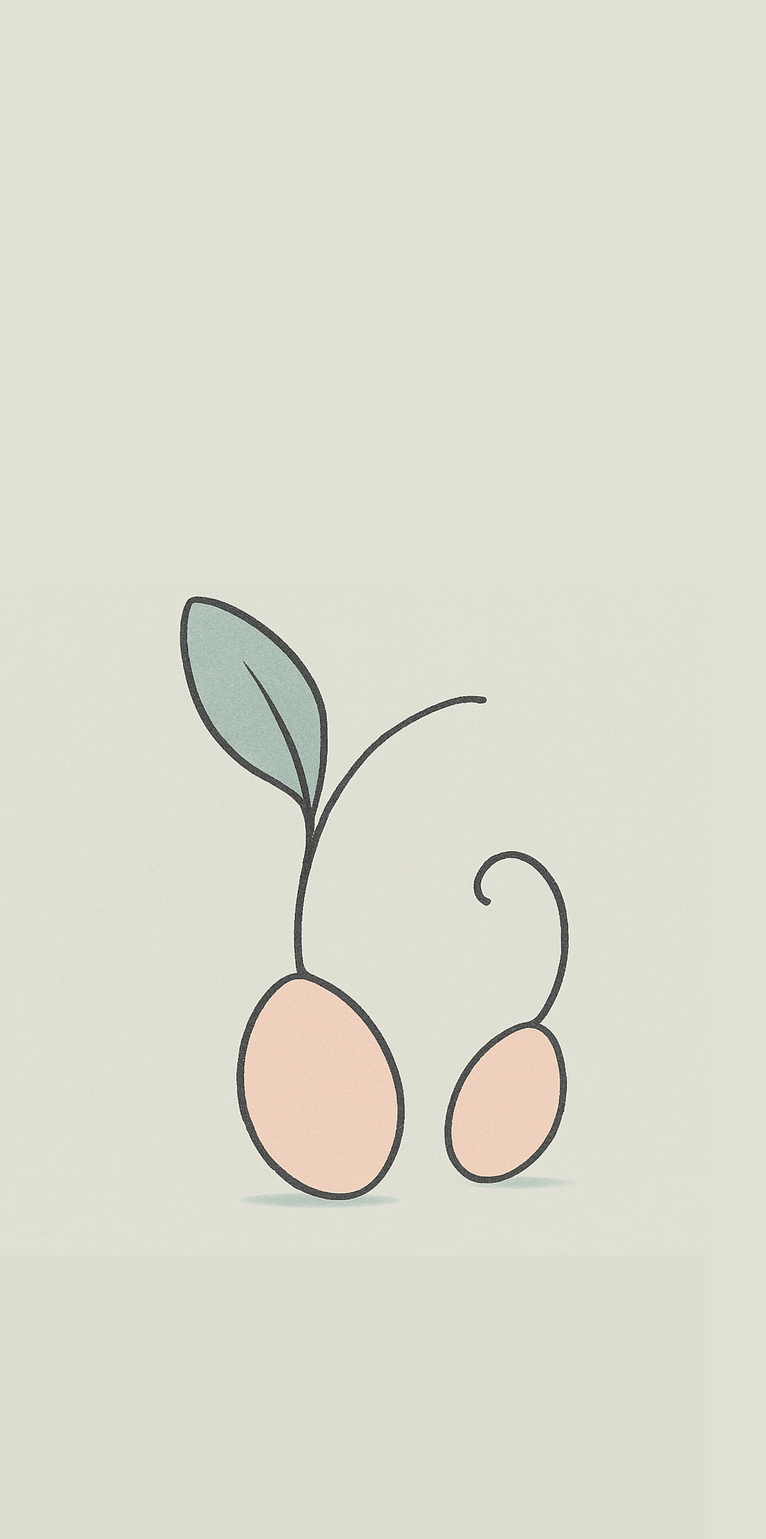 Two seedlings that are sprouting