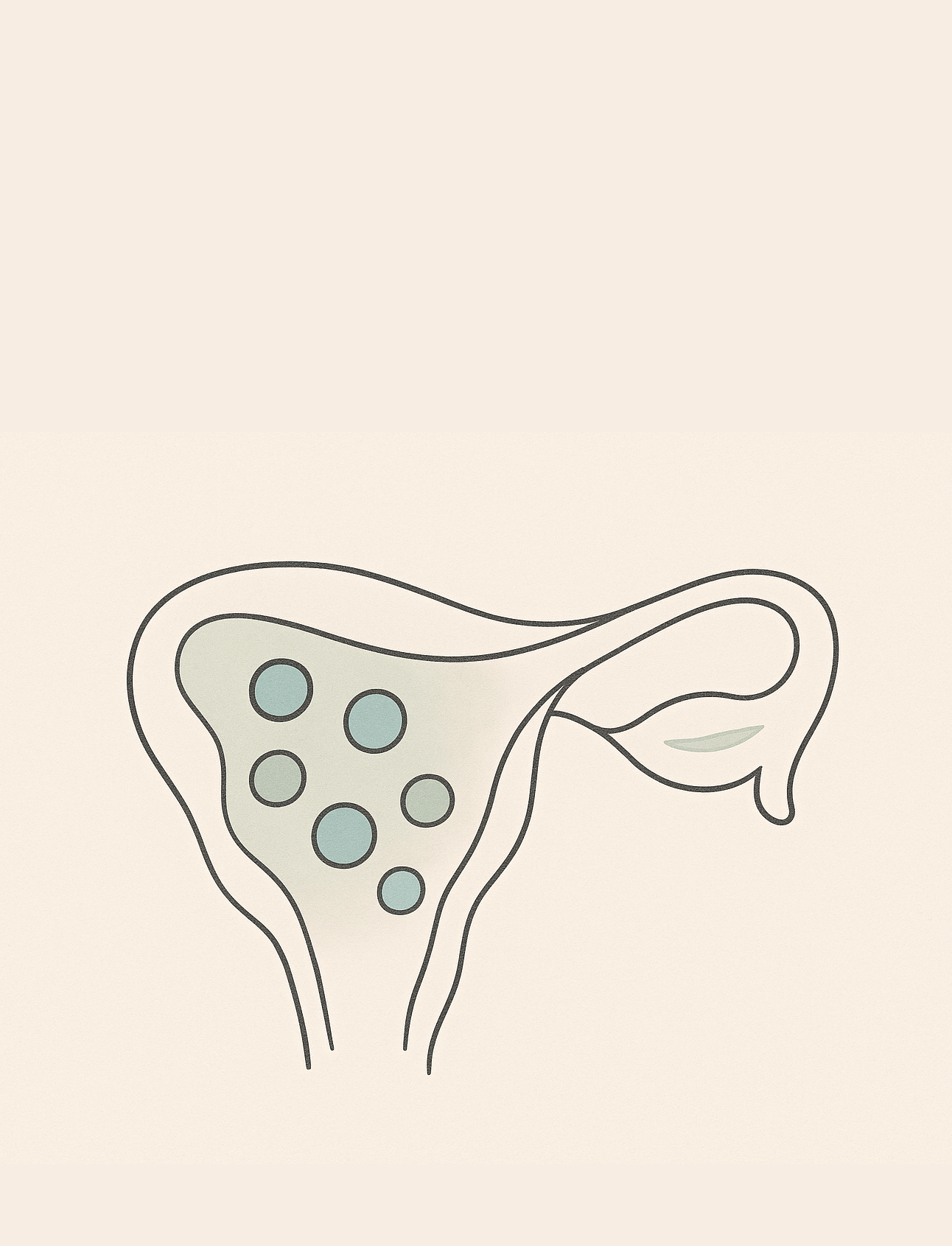 Sun rising over water