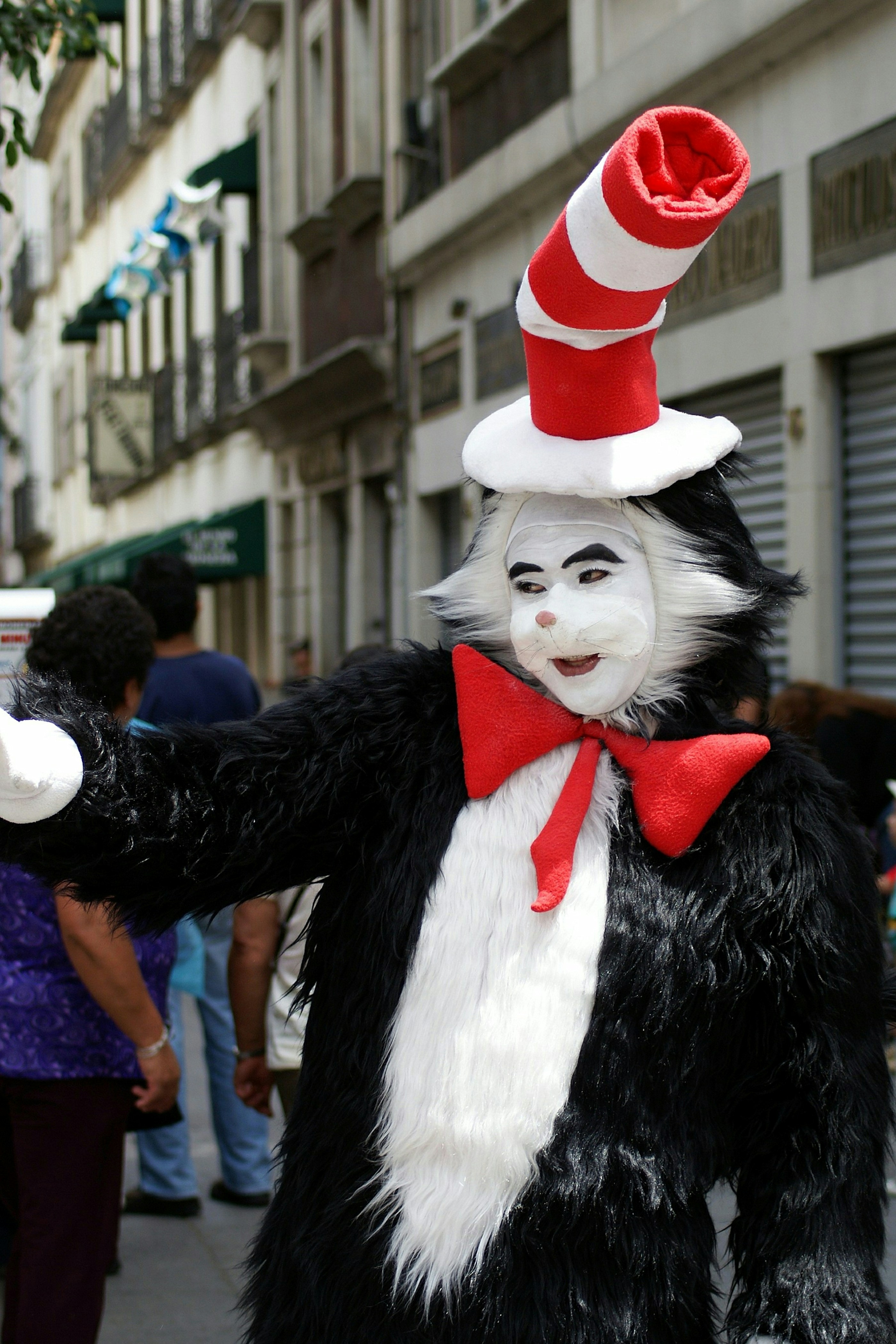 cat in the hat costume